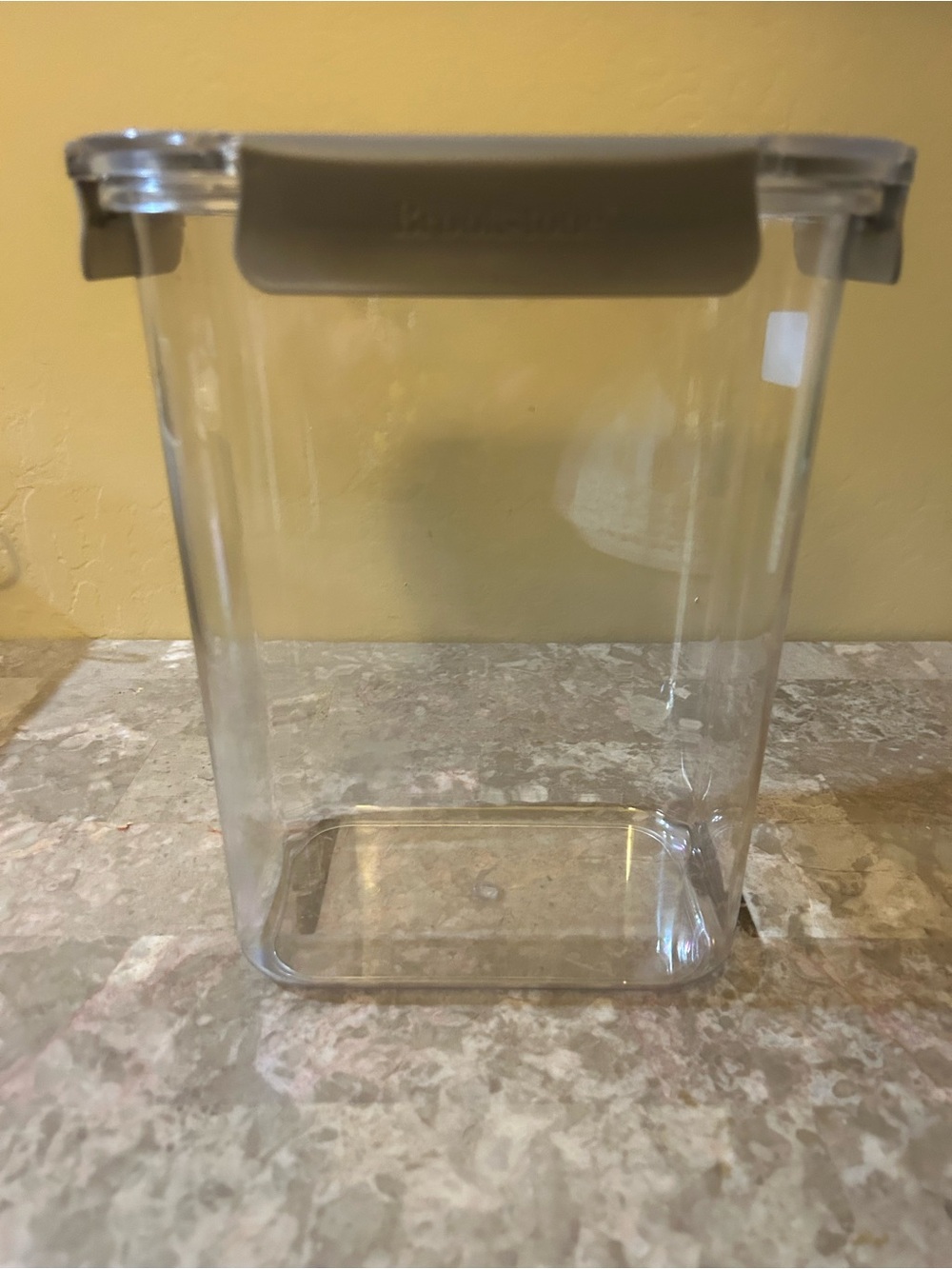 Clear Plastic Food Storage Container with Gray Lid